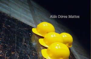 Planejamento e Controle de Obras – 2ª Edição Planejamento e Controle de Obras